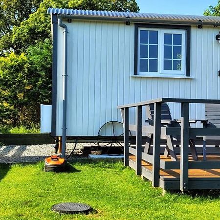 Small Cozy Shepherd Hut 20 By 7 Feet With Boxed In High Double Bed Balmacara Dış mekan fotoğraf